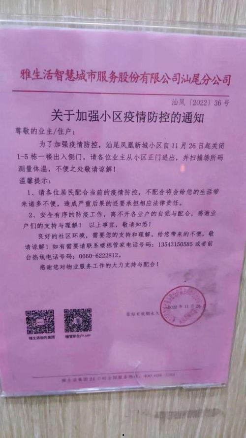 海丰爆料网最新消息视频,热点事件深度解析  第1张