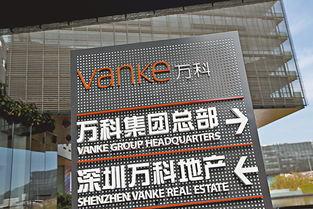 莒县探店爆料最新消息今天,今日热门美食盘点  第3张