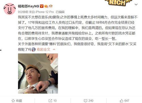 杨和苏最新爆料,揭秘音乐背后的故事与心路历程